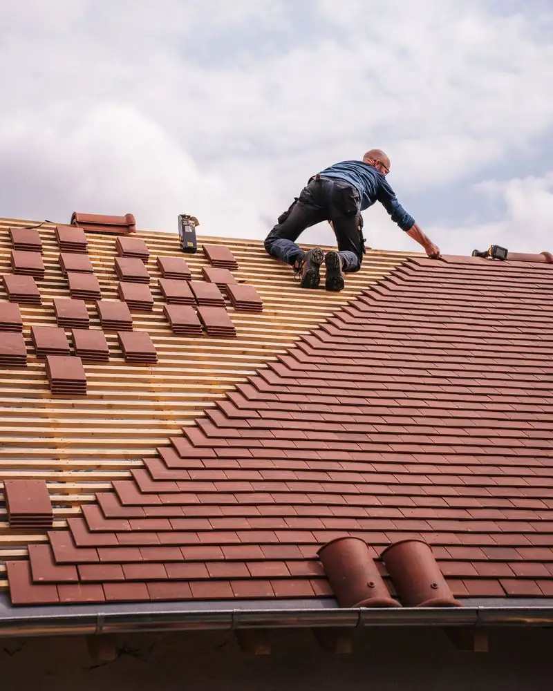 A roofer in a harness kneeling on a shingle roof, seen from behind. Northline Roofing, the name on this preview, is a made-up business.